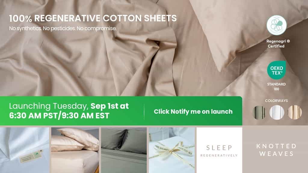The Clean Sheet : 100% Regenerative Cotton